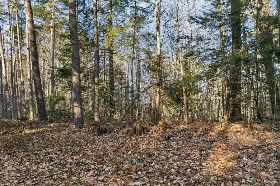 Camp Road #14, Wolfeboro, NH 03894 - Image #2