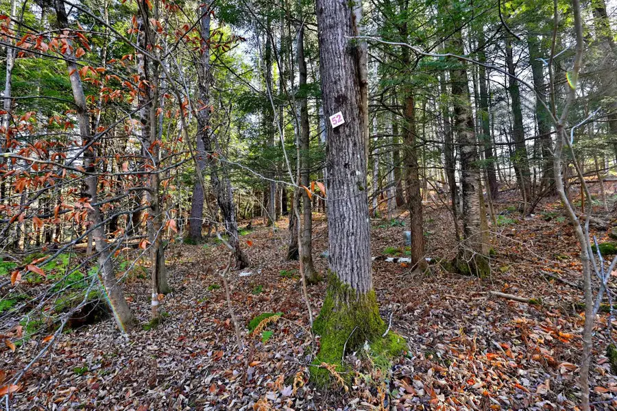 00 Partridge Road #52, Ludlow, VT 05149 - Image #2