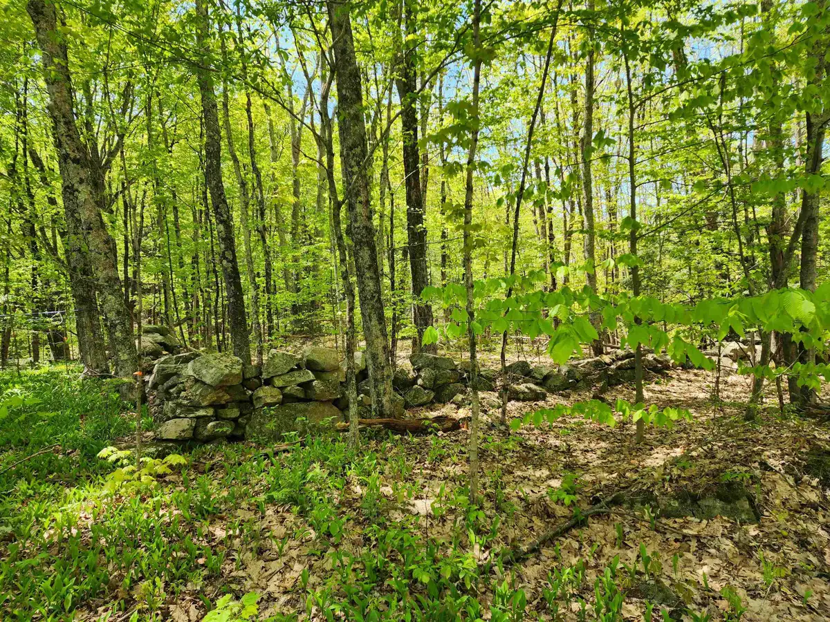 000 South Village Road #R13-13, Westmoreland, NH 03467 - Image #1