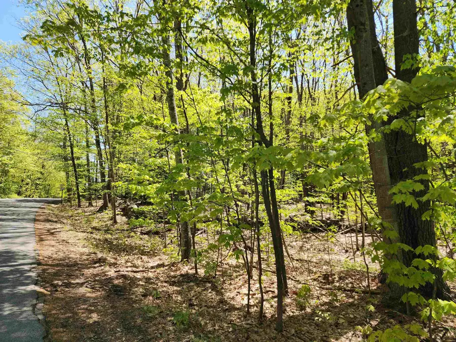 000 South Village Road #R13-13, Westmoreland, NH 03467 - Image #2