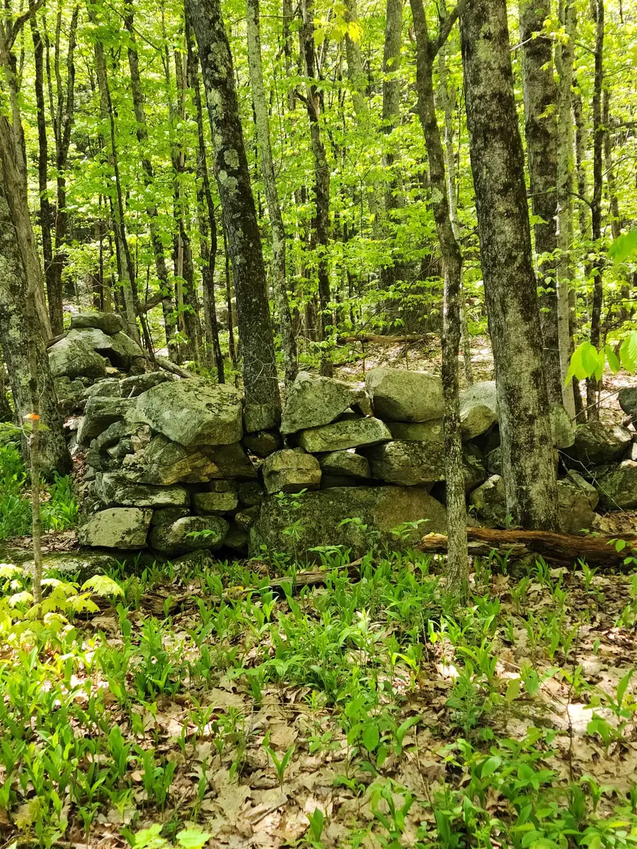 000 South Village Road #R13-13, Westmoreland, NH 03467 - Image #3