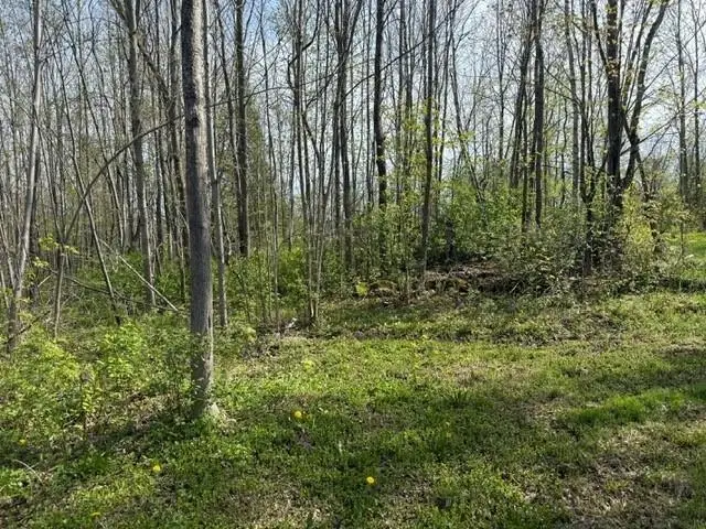 92 Great Northern Road, Troy, VT 05868 - Image #3