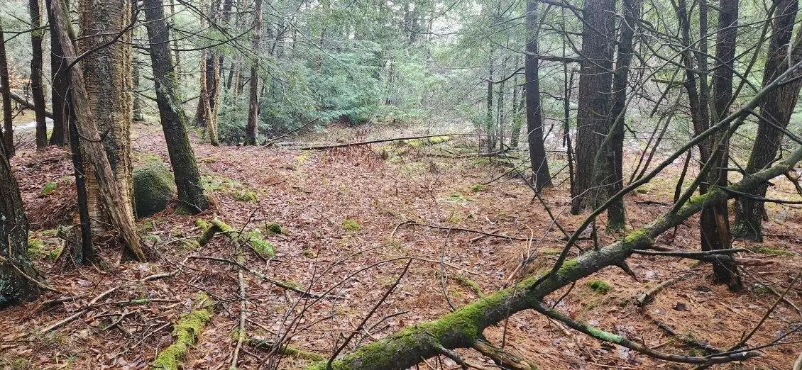 2051 Sheldon Woods Road, Fairfield, VT 05455 - Image #1