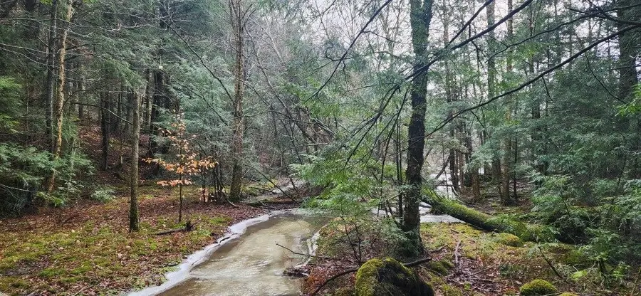 2051 Sheldon Woods Road, Fairfield, VT 05455 - Image #2