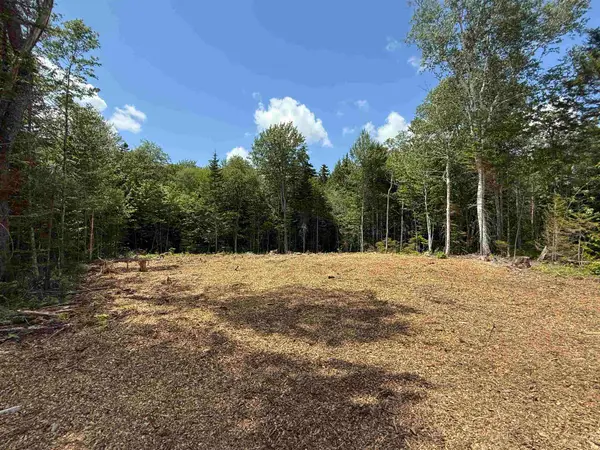 Lot 4 Old Mill Crossing, Wilmington, VT 05363