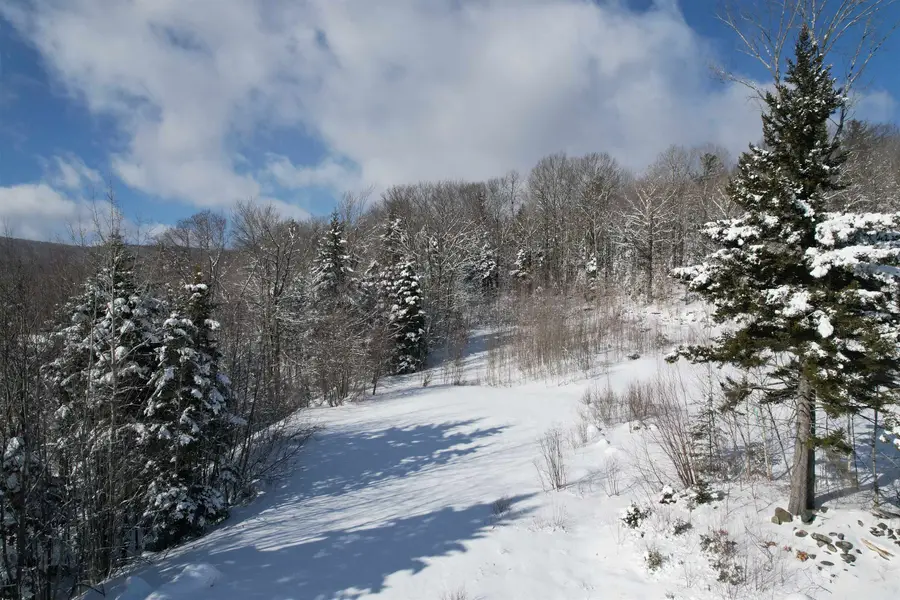 5 Pinnacle View Road, Dover, VT 05356 - Image #2