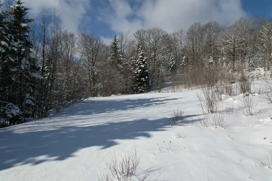 5 Pinnacle View Road, Dover, VT 05356 - Image #3