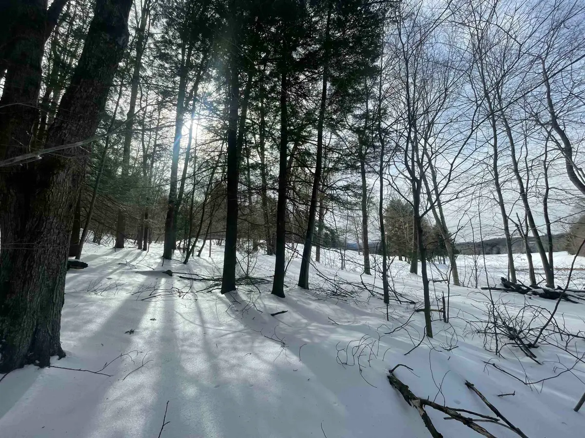 530 Finbars Forest Road, Manchester Town, VT 05255 - Image #1
