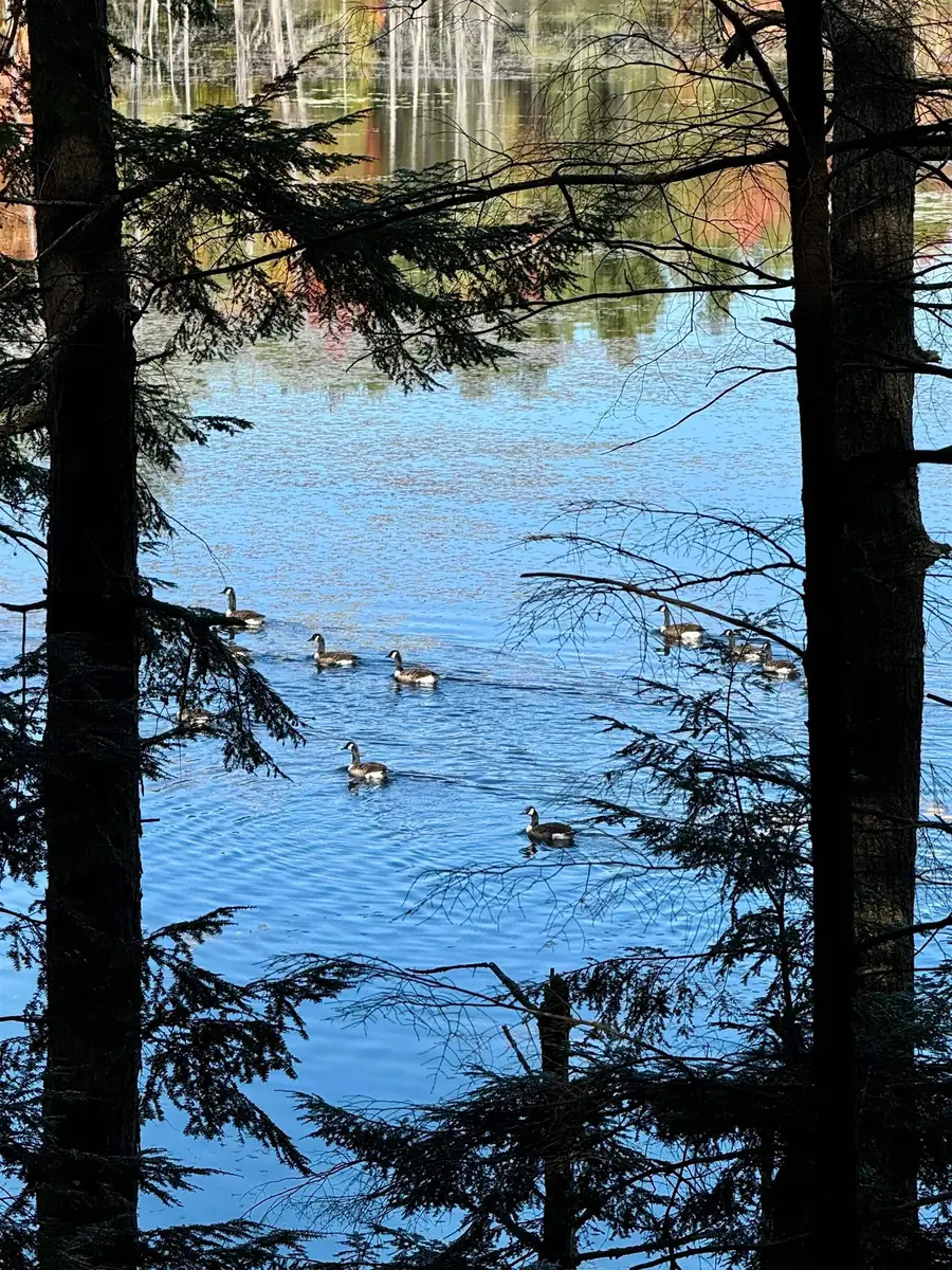 555 Shaker Road, Sutton, NH 03260 - Image #2