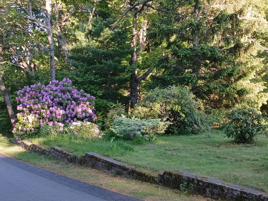 43 Poponessett Road, Cotuit, MA 02635 - Image #2