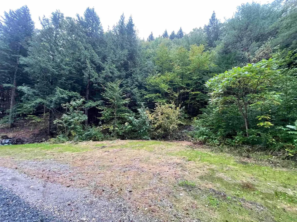 667 Hinkley Brook Road, Grafton, VT 05146 - Image #1