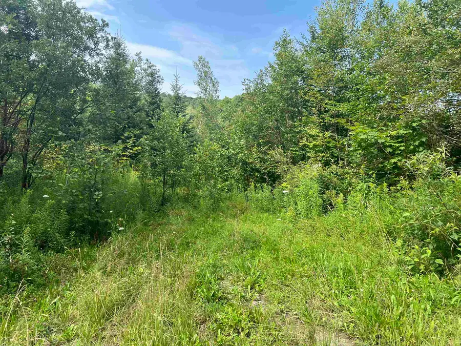 0 Hartwell Pond Road, Albany Town, VT 05875 - Image #2