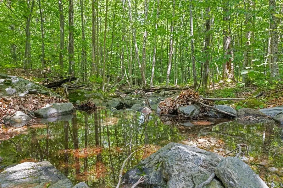 Lot 1 Marshall Road, Duxbury, VT 05676 - Image #2