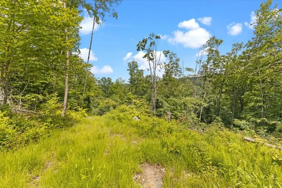 Lot 1 Marshall Road, Duxbury, VT 05676 - Image #3
