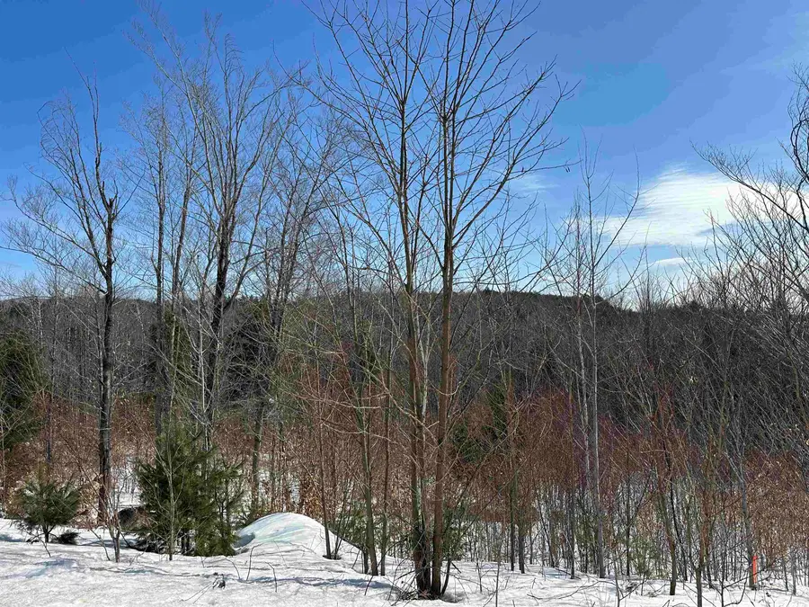 68 Grandview Road, Conway, NH 03818 - Image #2