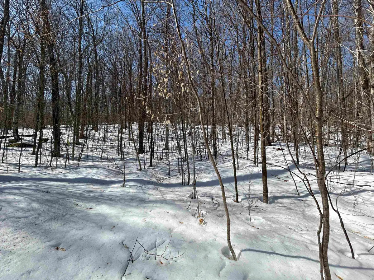00 Margeaux Lane, West Wardsboro, VT 05155 - Image #1