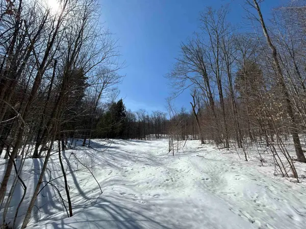 Lot #4 Margeaux Lane, Stratton, VT 05155