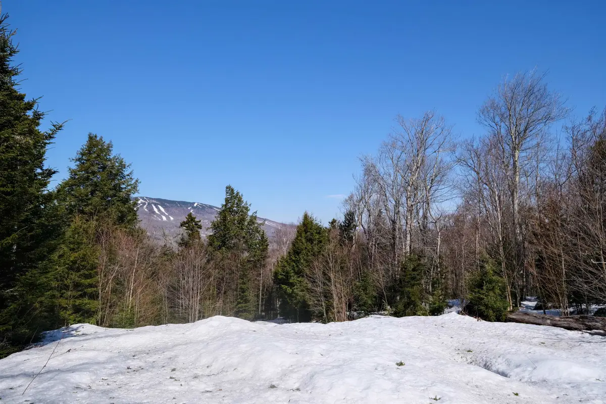 0 Turtle Hill Road #Lot 2, Ludlow, VT 05149 - Image #1