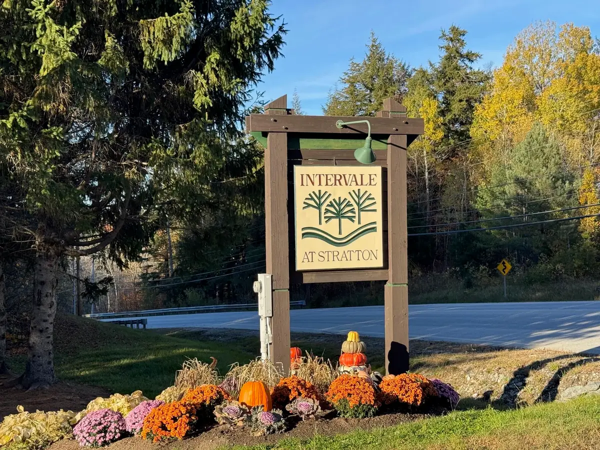 11 Pond View Road, Winhall, VT 05340 - Image #1