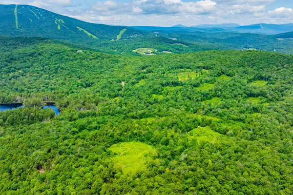 585 Pleasant Valley Road, Jamaica, VT 05343