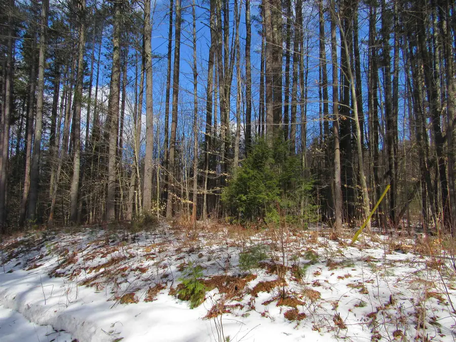 1192 Haven Hill Road #Lot 1A, Londonderry, VT 05148 - Image #2