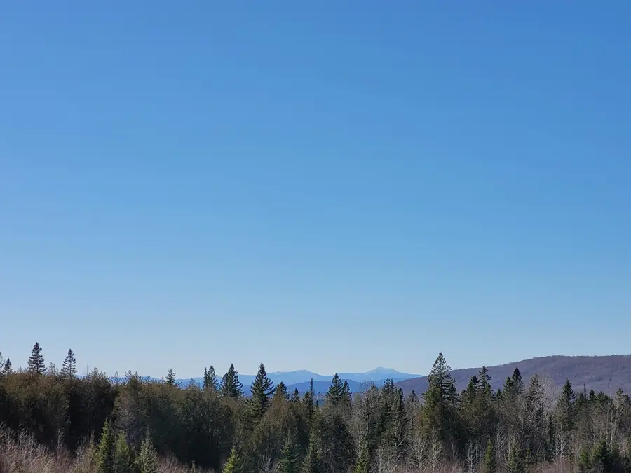 210 Cow Hill Road, West Danville, VT 05873 - Image #3