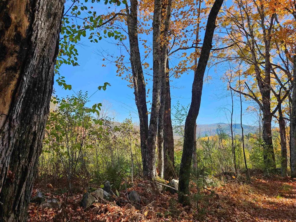 324 Crane Hill Road, Sugar Hill, NH 03486 - Image #1