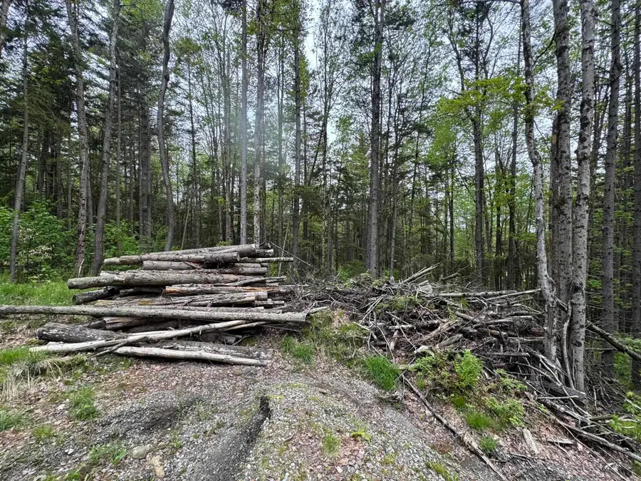 Lot 4 Ghastly Job Way, Wilmington, VT 05363 - Image #2
