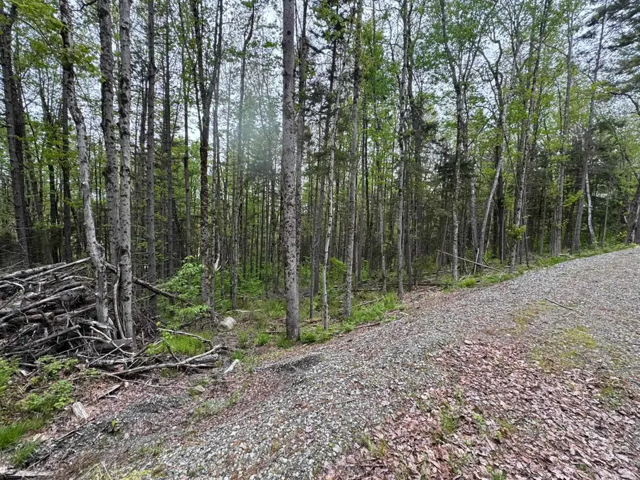 Lot 4 Ghastly Job Way, Wilmington, VT 05363 - Image #3