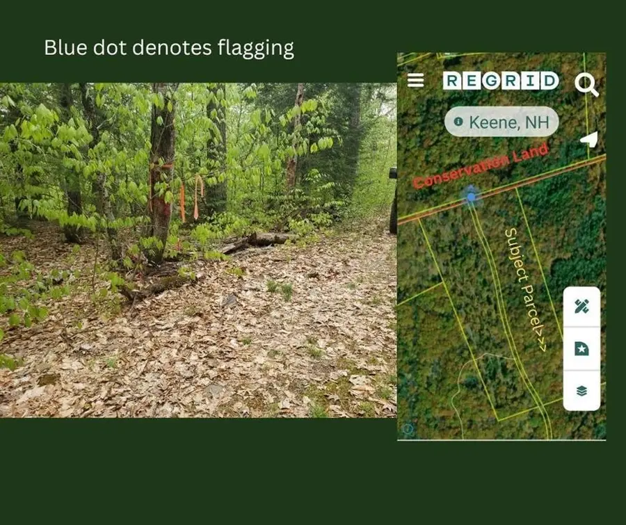 0 Old Gilsum Road, Keene, NH 03431 - Image #3