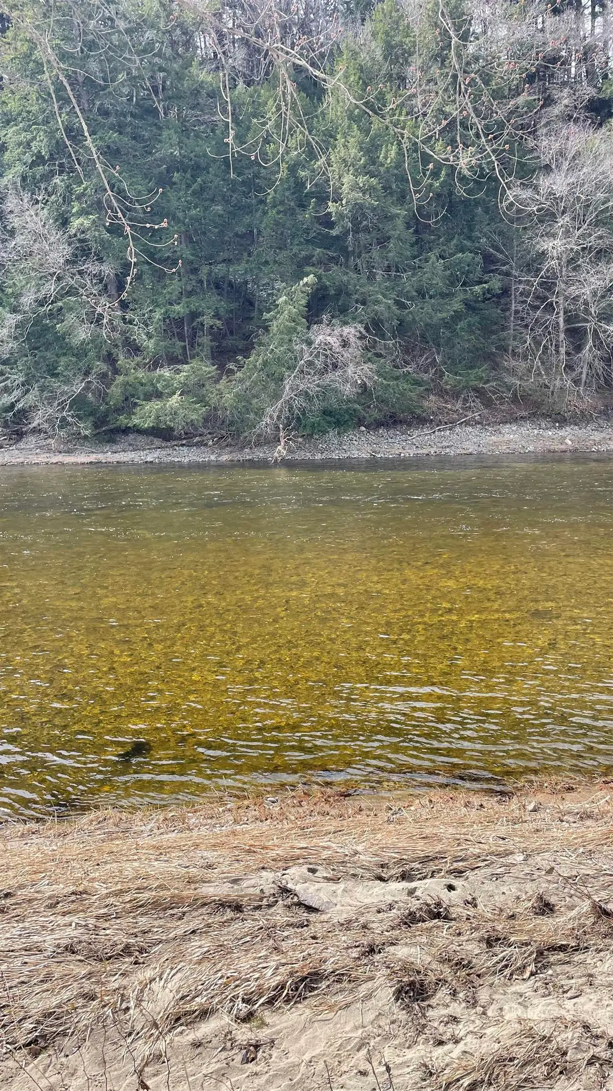 0 Lisbon Road #8, Bath, NH 03740 - #1