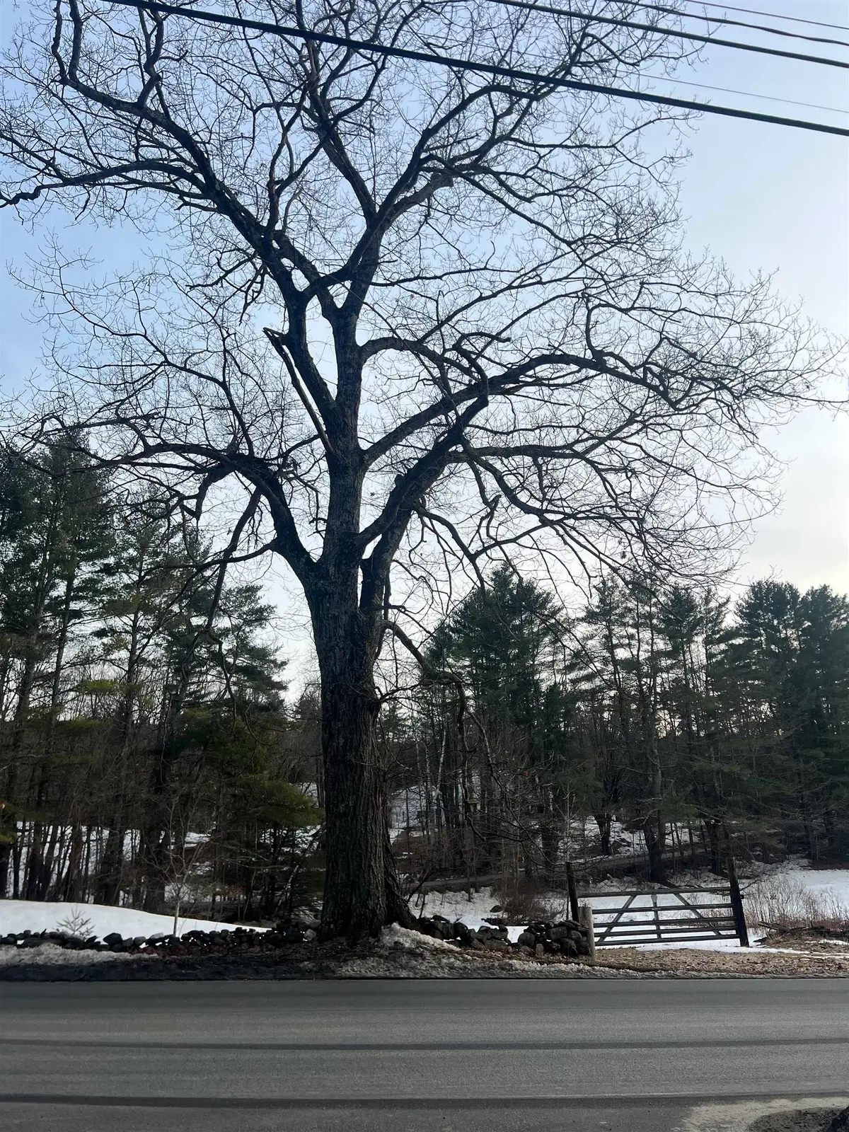 Acworth Road, Charlestown, NH 03603 - Image #1