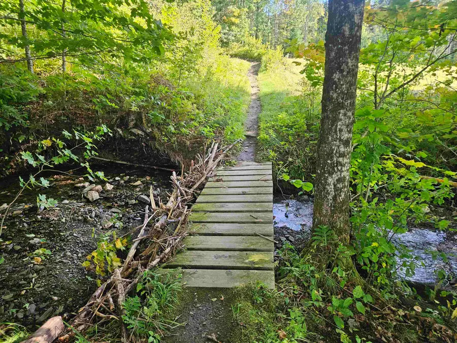 1230 Pinkham Road, Burke, VT 05832 - Image #3