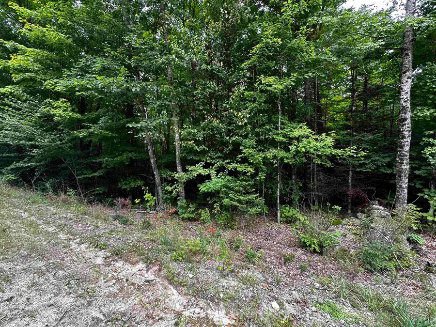 62 Patterson Road, Wilmot, NH 03287 - Image #2