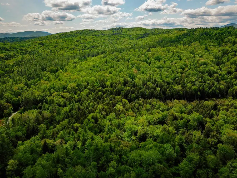 184 Schoolhouse Road #Lot 2, Jamaica, VT 05343 - Image #2