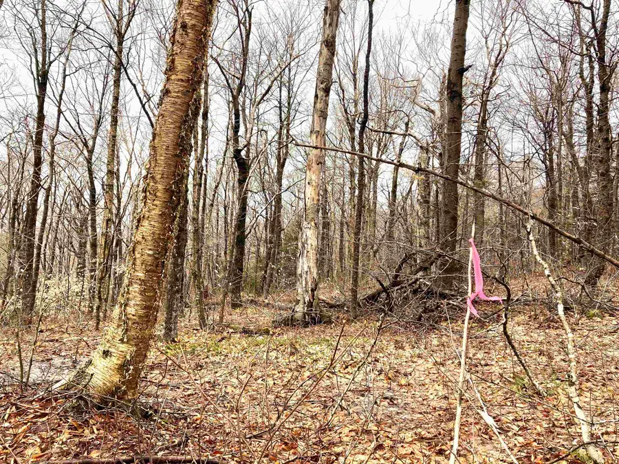 402 Fox Mt Road #Lots M402 & M403, Wilmington, VT 05363 - Image #2