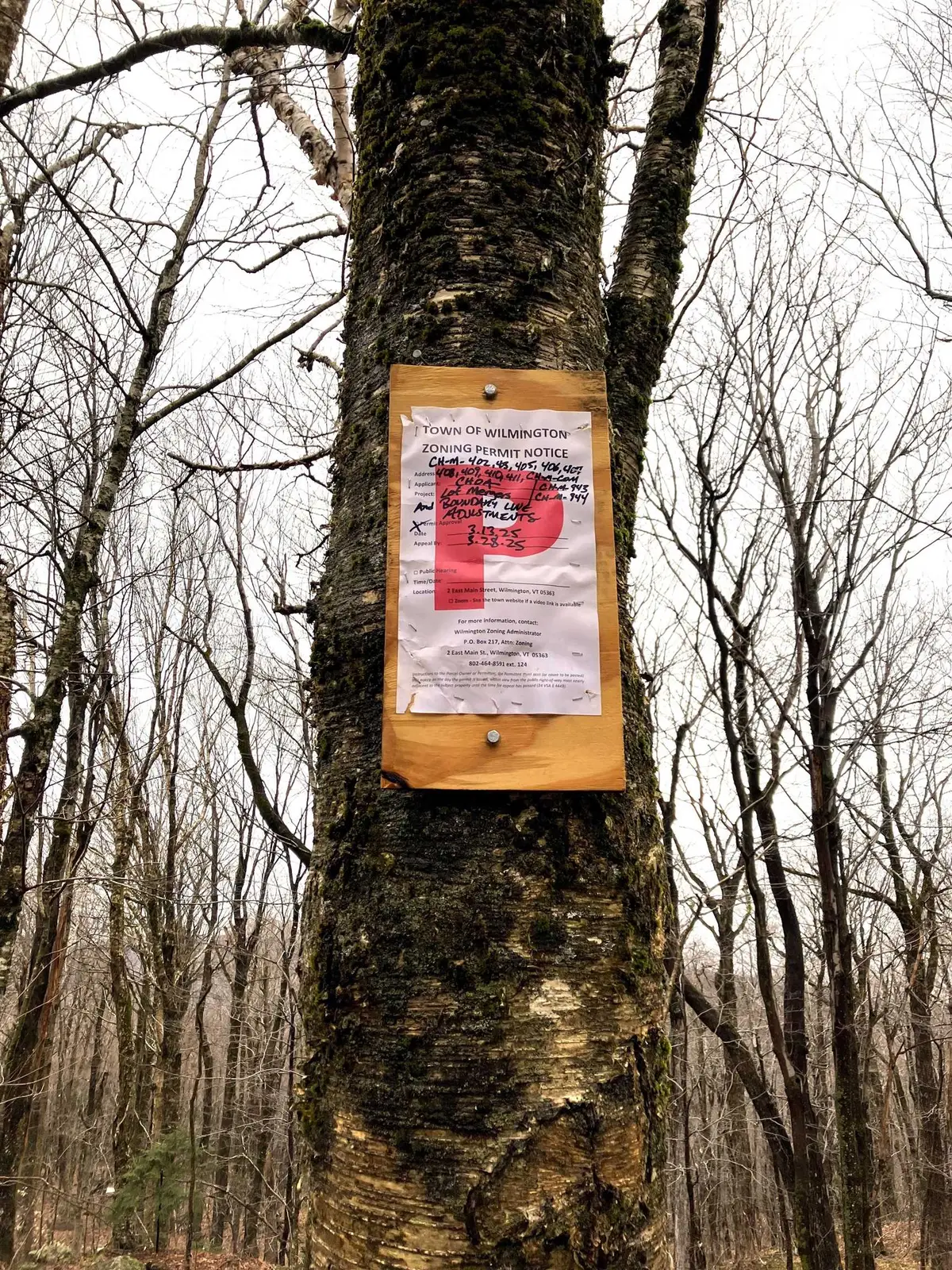 406 Fox Mt Road #M405, M406 & M407, Wilmington, VT 05363 - Image #1