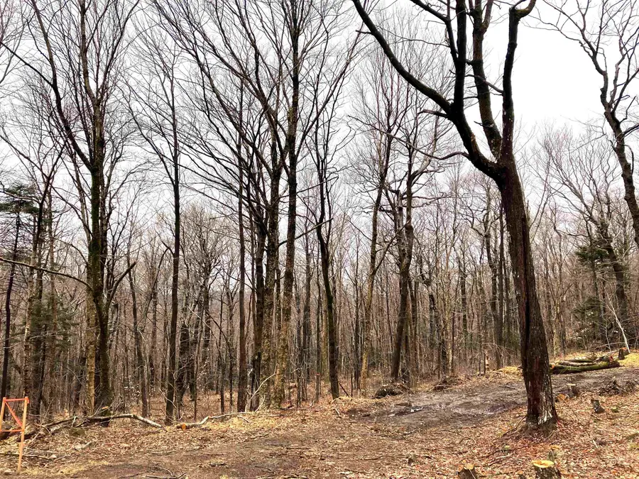 406 Fox Mt Road #M405, M406 & M407, Wilmington, VT 05363 - Image #2