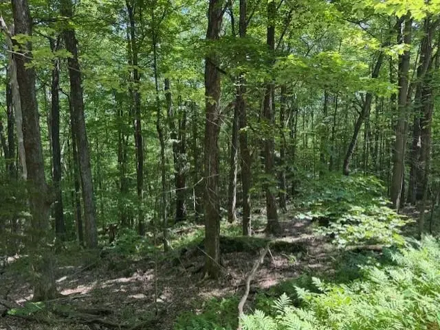 00 Westhill Road, Montgomery, VT 05470 - Image #2