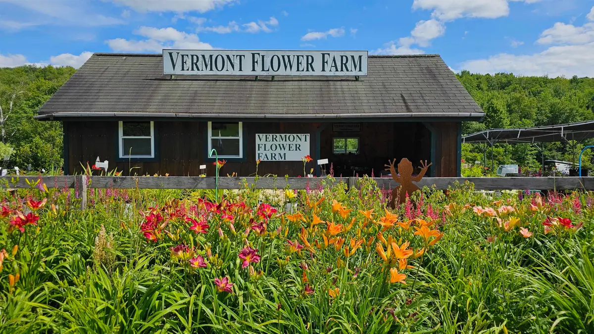 2263 US Route 2, Marshfield, VT 05658-7149 - Image #1