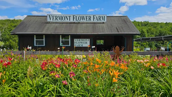 2263 US Route 2, Marshfield, VT 05658-7149