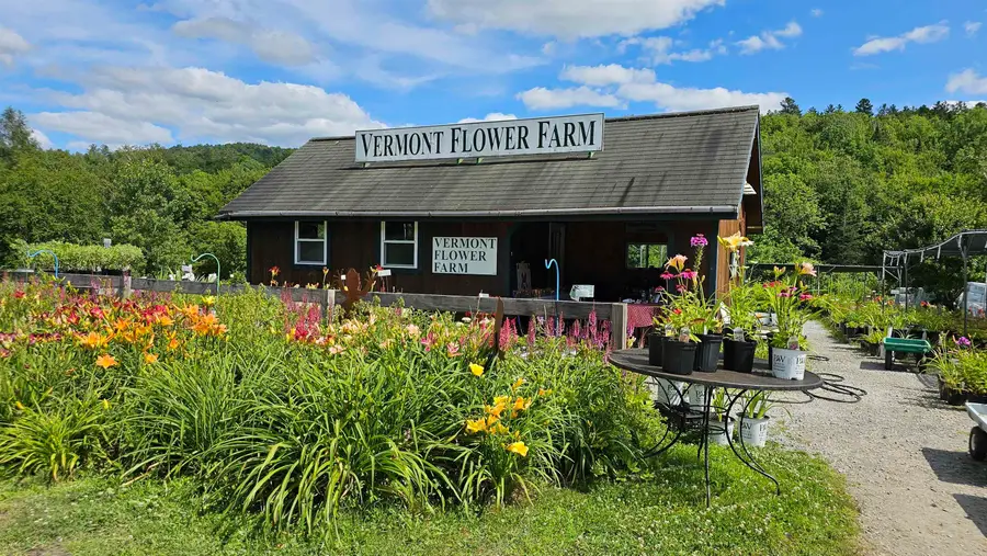 2263 US Route 2, Marshfield, VT 05658-7149 - Image #2