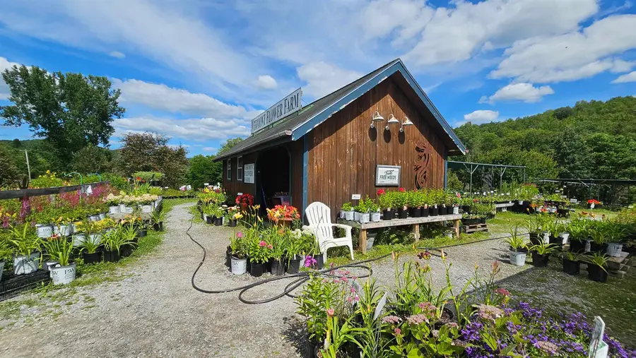 2263 US Route 2, Marshfield, VT 05658-7149 - Image #3