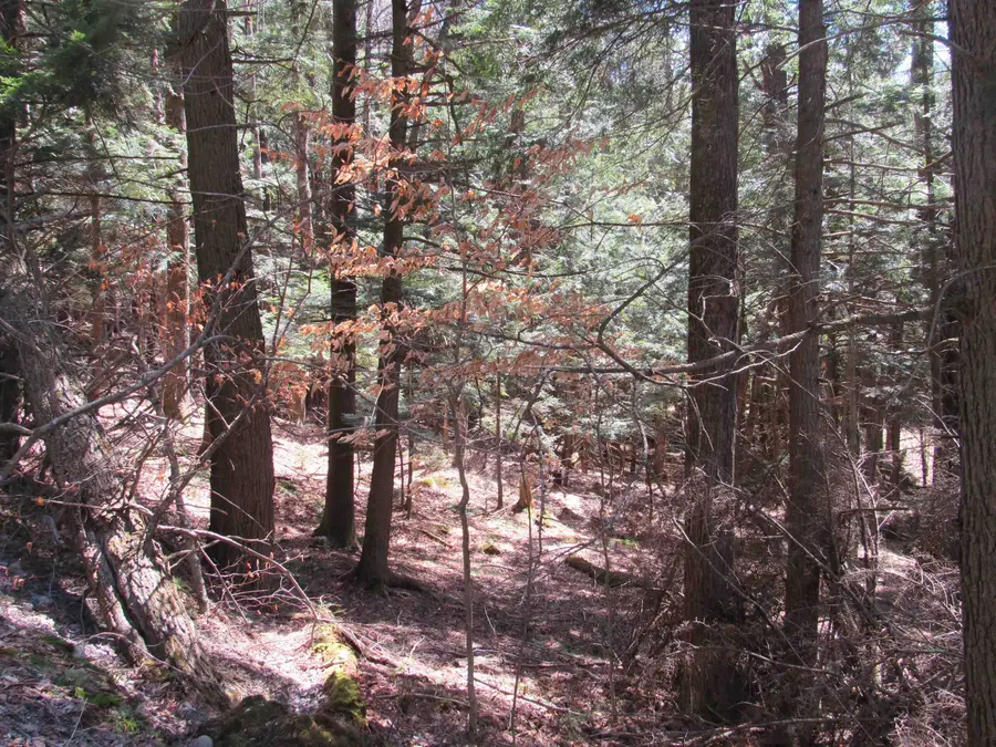 0 Stratton View Road #59, Winhall, VT 05340 - Image #3