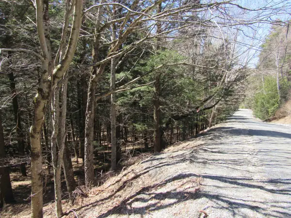 0 Stratton View Road #58, Winhall, VT 05340