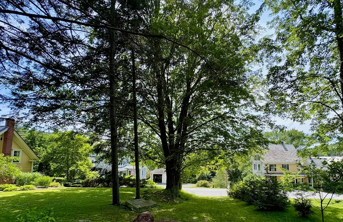 Central Street, Sunapee, NH 03782 - #1