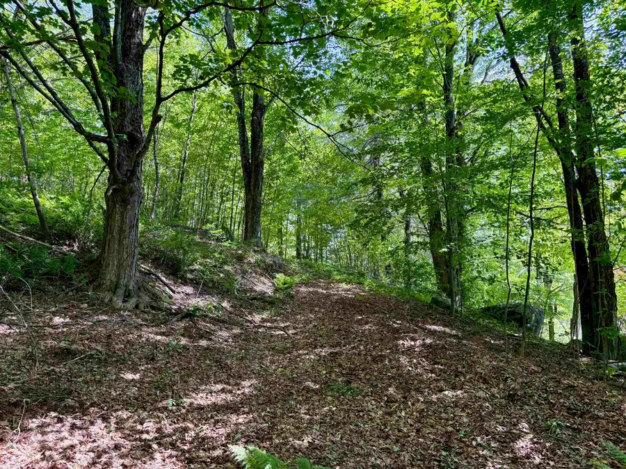 Central Street, Sunapee, NH 03782 - #3