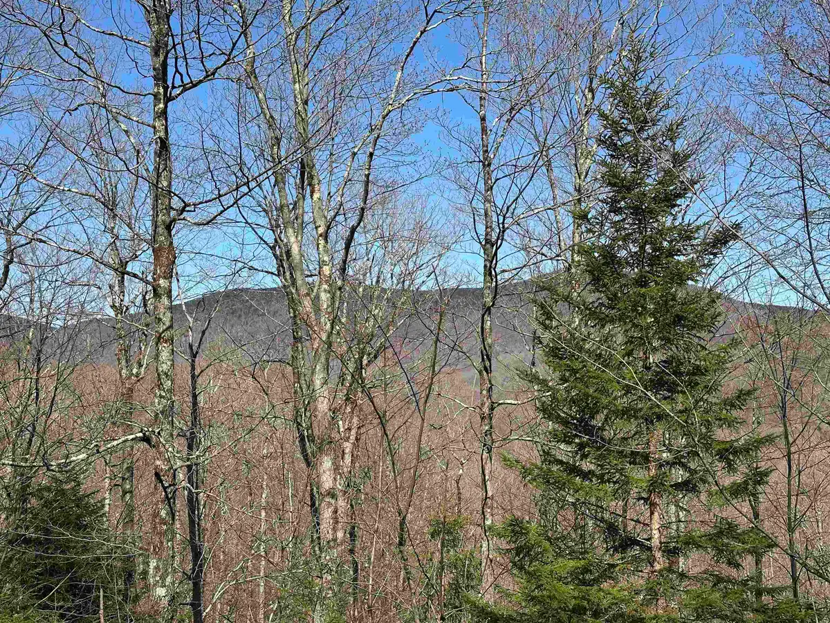 00 Ice Pond Road, Chittenden Town, VT 05763 - Image #1