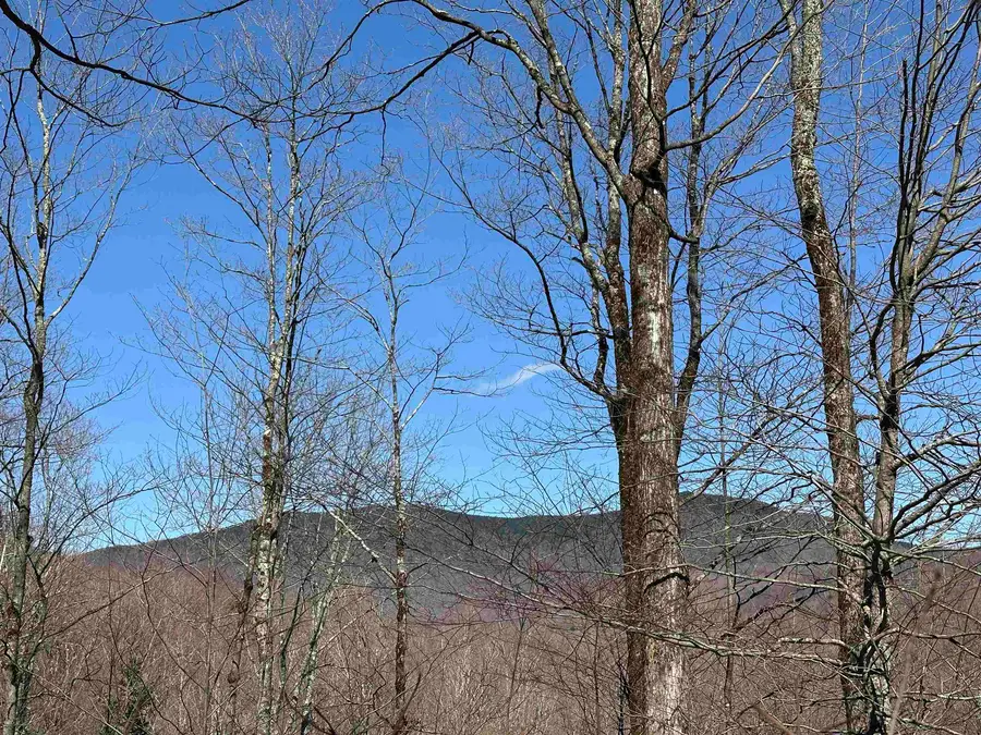 00 Ice Pond Road, Chittenden Town, VT 05763 - Image #2