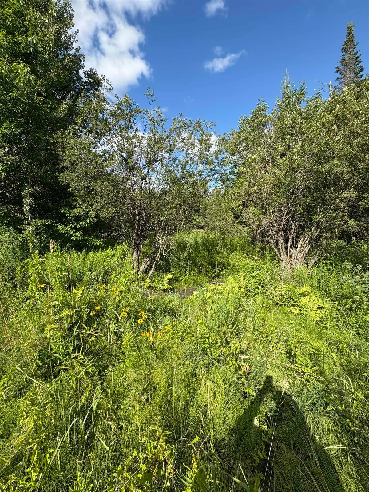 Partridge Lane, Danville, VT 05828 - Image #1